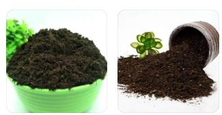 種植土檢測